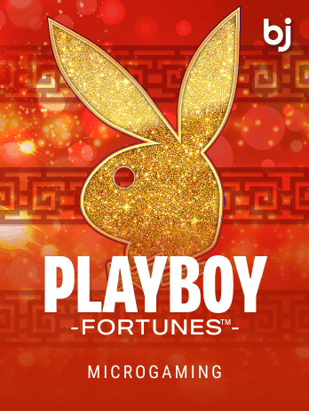 প্লেবয় ফরচুনস